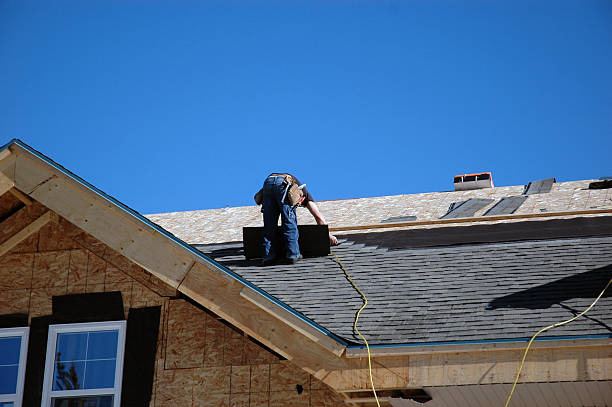 Best Asphalt Shingle Roofing  in Coleman, MI