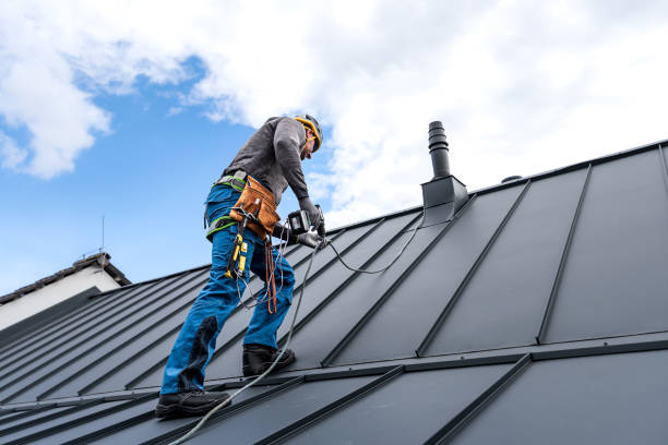Best Sheet Metal Roofing  in Coleman, MI